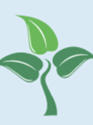 /papers/women-entrepreneurs-in-the-new-era-trends-and-challenges/